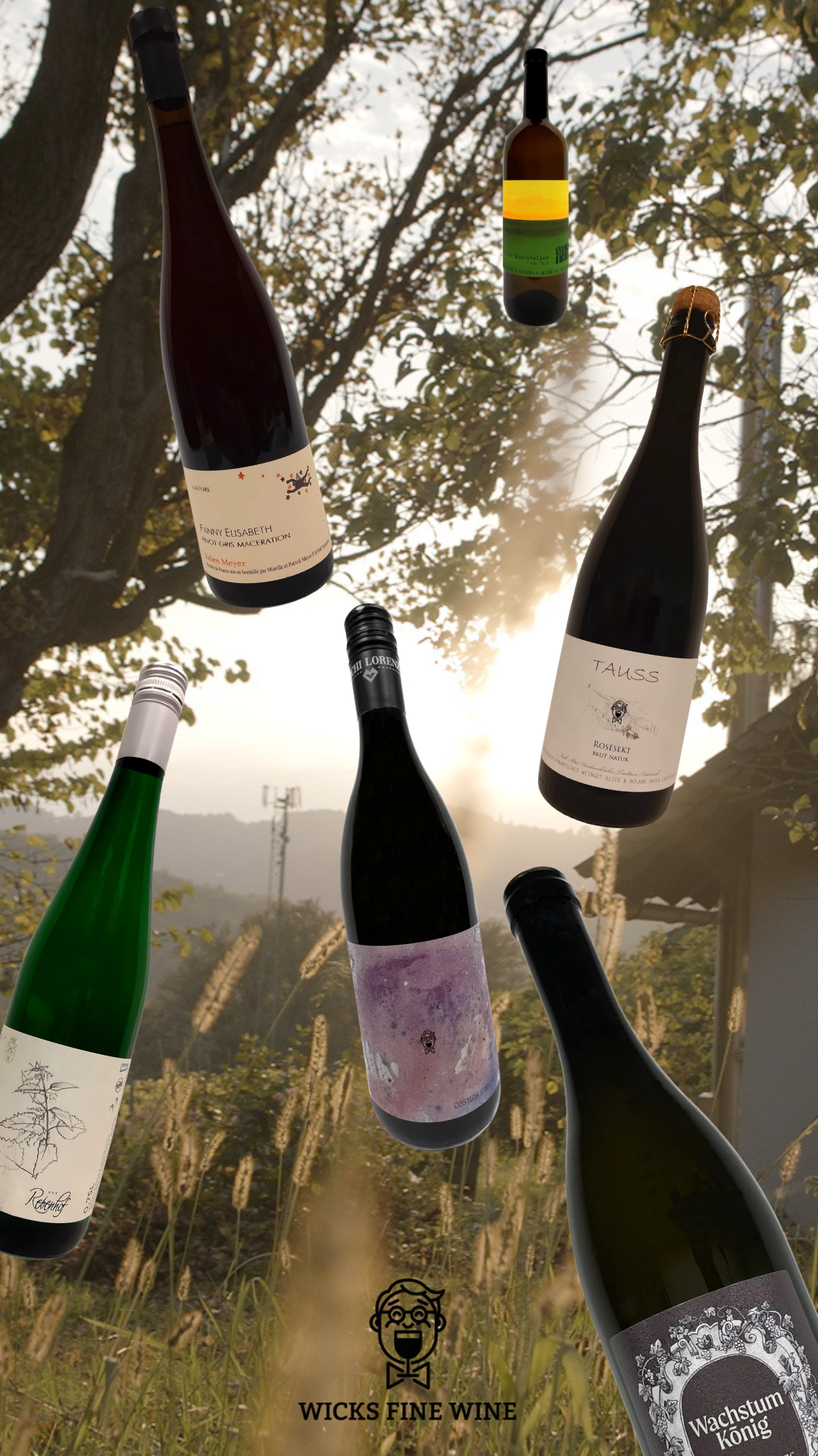 Sommerweine Winzers Choice
