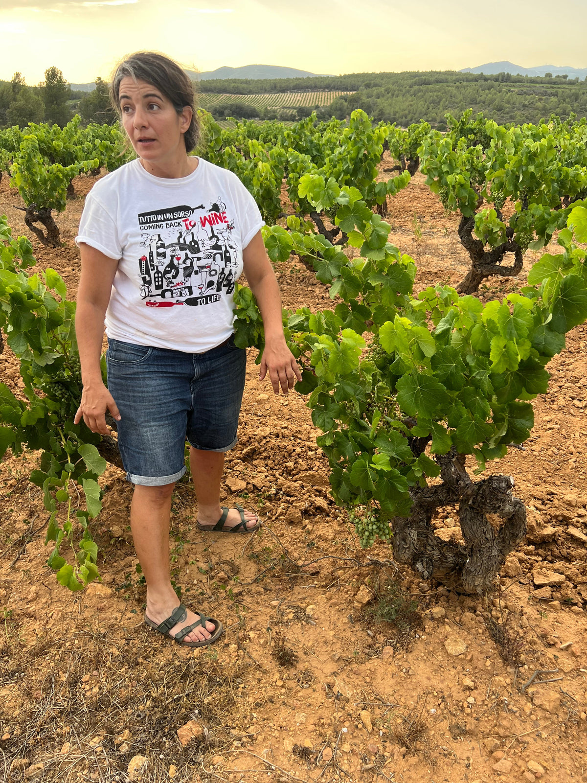 Nuria Renom - Les Cantarelles